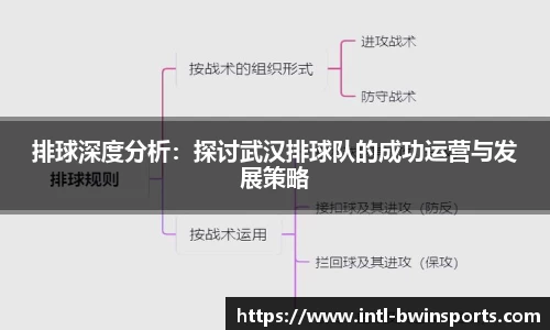 排球深度分析：探讨武汉排球队的成功运营与发展策略