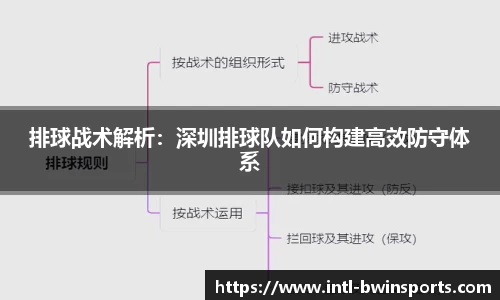 排球战术解析：深圳排球队如何构建高效防守体系